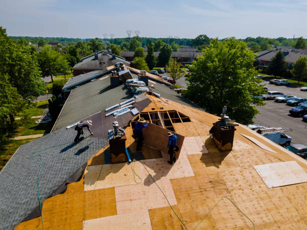 Best Storm Damage Roof Repair  in Nora Springs, IA