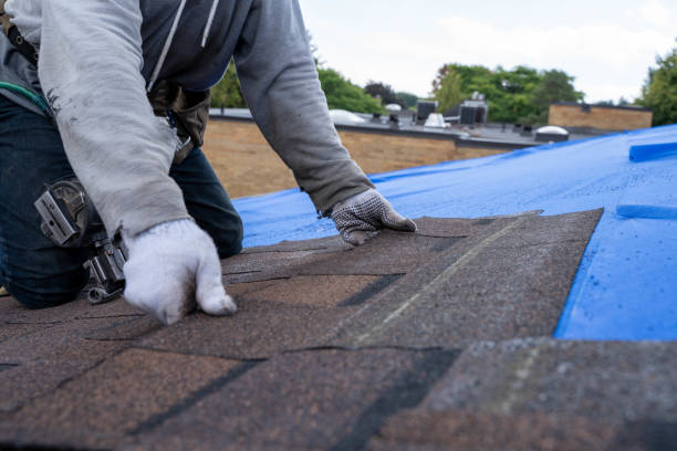 Best Sealant for Roof  in Nora Springs, IA