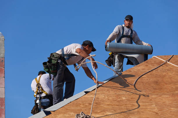 Best Best Roofing Contractors  in Nora Springs, IA