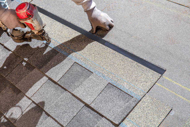 Best Local Roofing Companies  in Nora Springs, IA
